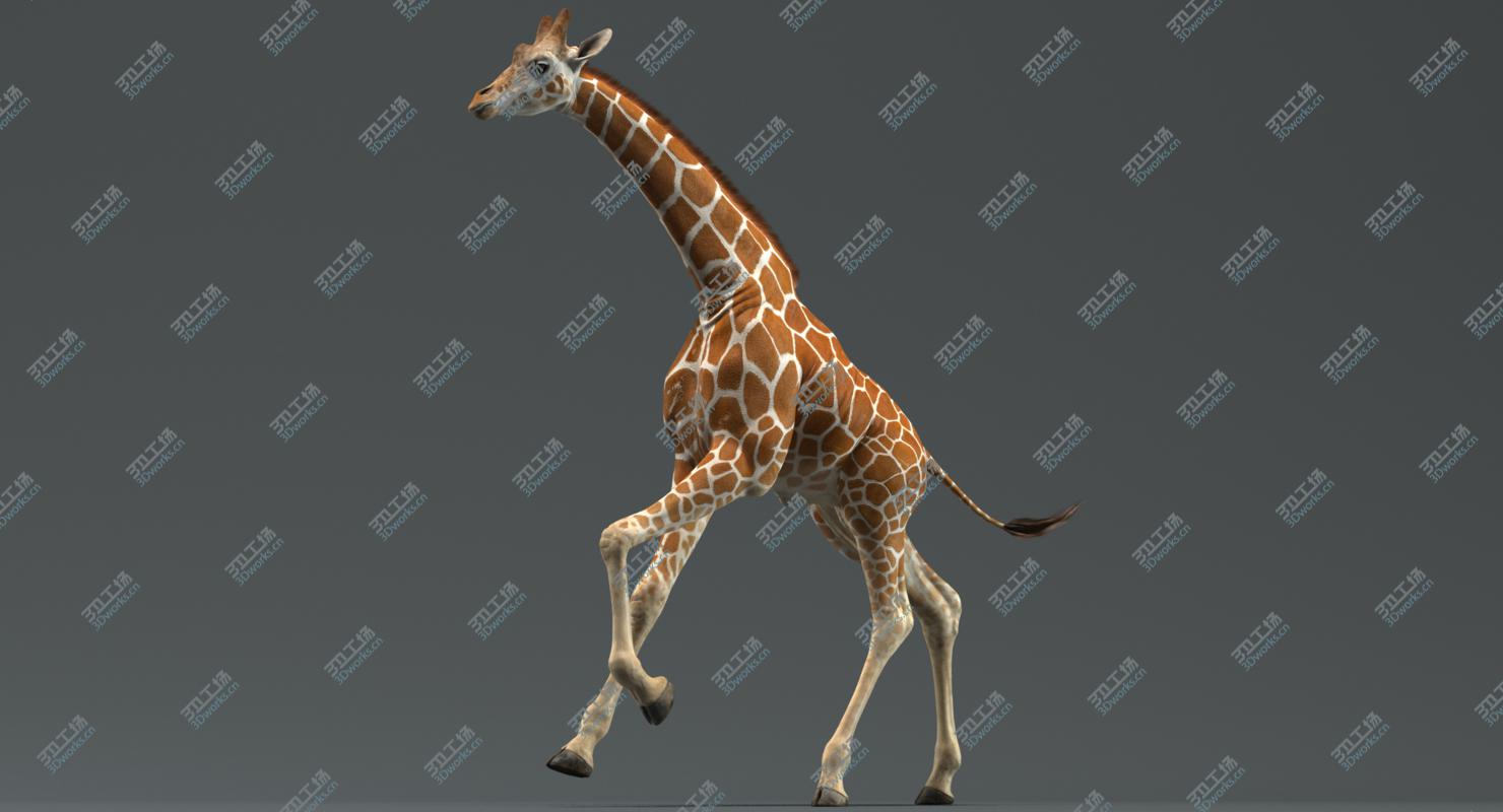 images/goods_img/202105074/Giraffe (Animated) 3D model/1.jpg